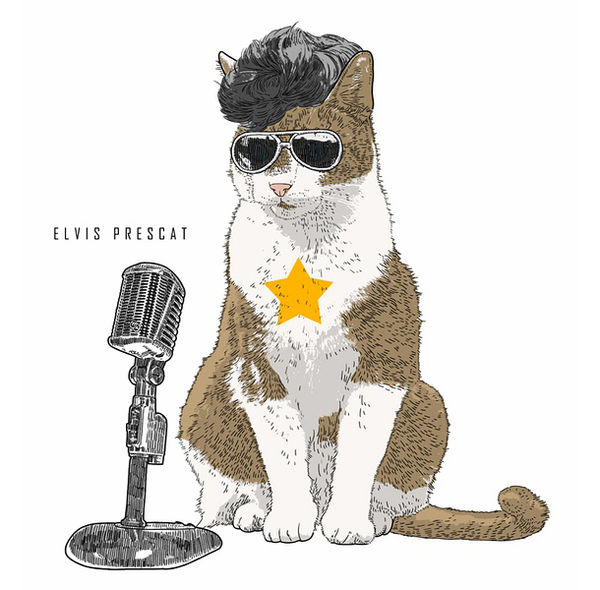 Celebrity Cat Costume Cartoons
