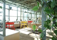 Contemporary Jungle-Inspired Hotels Image 6