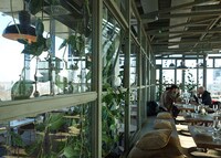 Contemporary Jungle-Inspired Hotels Image 7
