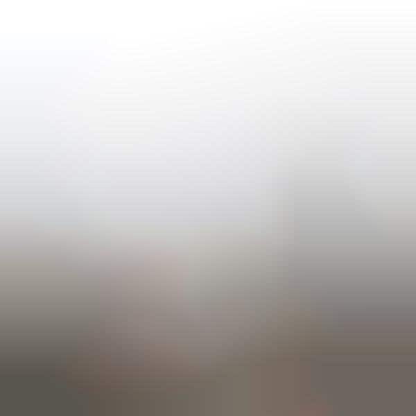 Misty Romantic Deer Photography