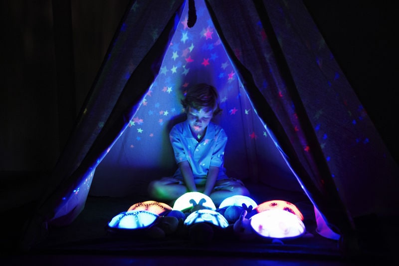 Multi-Sensory Turtle Toys