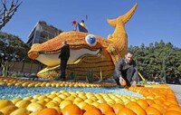 Massive Citrus-Styled Sculptures Image 4
