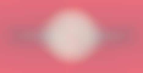 Wedding Role Visual Guides