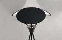 Saucer-Topped Lights Image 5