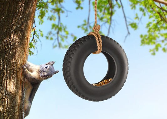 Wheely Avian Feeders