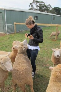 Uplifting Animal Sanctuaries Image 3