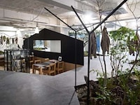 Garden-Embedded Interiors Image 2