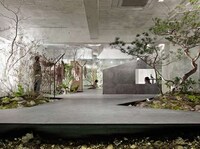 Garden-Embedded Interiors Image 4