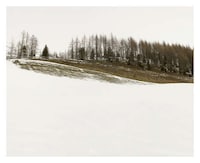 Quiety Neutral Landscapes Image 2