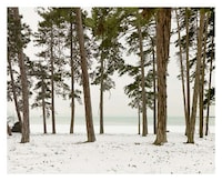 Quiety Neutral Landscapes Image 6