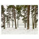 Quiety Neutral Landscapes Image 6