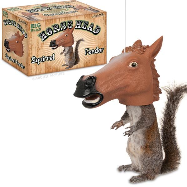 Amusing Rodent Feeders