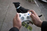 Reworked Video Game Leashes Image 2