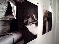 Book-Scented Perfume Exhibits Image 3