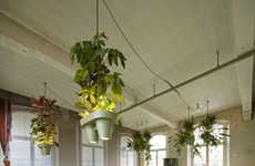 Beaming Potted Plants