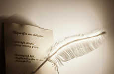 Whimsical Feather Lighting