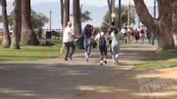 Hilarious Snake Chase Pranks Image 2