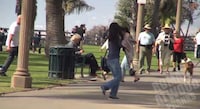 Hilarious Snake Chase Pranks Image 3