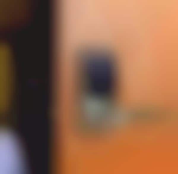Electronic Residential Locks