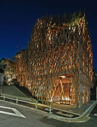 Cloud-Like Latticed Structures Image 5