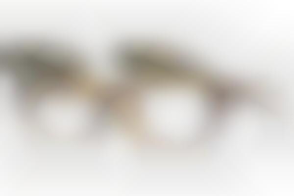 Retro Revival Eyewear