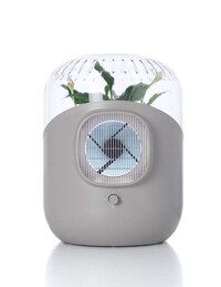 Plant-Powered Air Purifiers Image 3