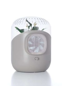 Plant-Powered Air Purifiers Image 4