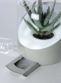 Plant-Powered Air Purifiers Image 5
