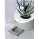 Plant-Powered Air Purifiers Image 5