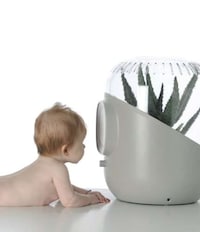 Plant-Powered Air Purifiers Image 6