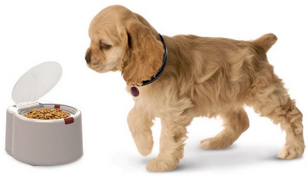 Microchip-Activated Pet Feeders