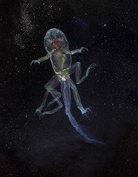Beautifully Deformed Photography Image 7