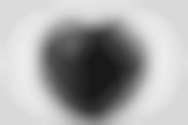 Faceted Panoptic Cameras