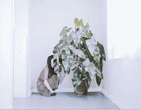Curiously Hazy Photo Series Image 5
