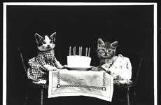 Adorable Vintage Cat Photos