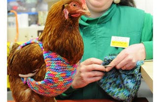76 Offbeat Knitting Projects