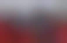 Chic Workplace Loungers