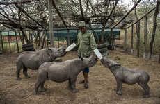 Compassionate Anti-Poaching Communities