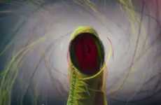 Revolutionary Knitted Soccer Shoes