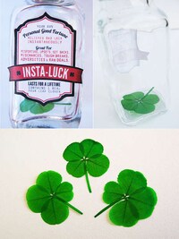 Shippable Four-Leaf Clovers Image 2