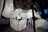 Artistically Winged Installations Image 3