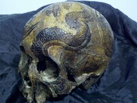 Elaborate Human Skull Art Image 3