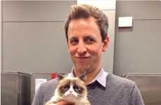 Disgruntled Feline Festival Appearances