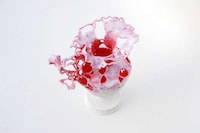 Coral Reef Vases Image 3