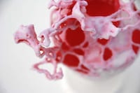 Coral Reef Vases Image 5