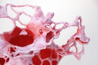 Coral Reef Vases Image 6