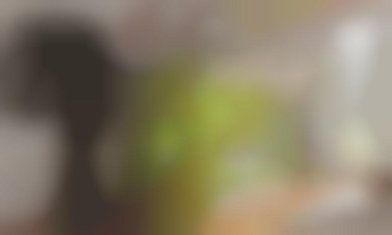 magic cabin bed tent