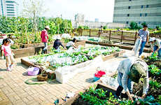 Train Commuter Gardens