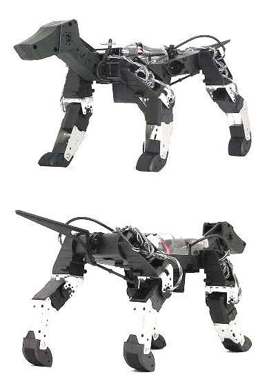 91 Animal-Inspired Robots