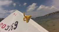 Viral Yacht Climbing Spoofs Image 2